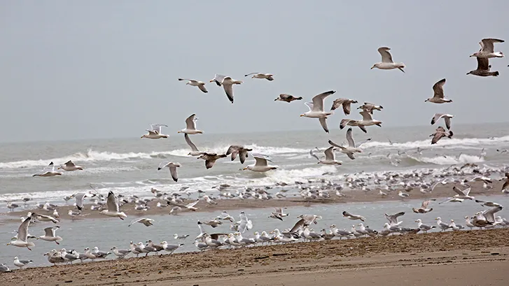 wim meijer fotografie 5i5a0281