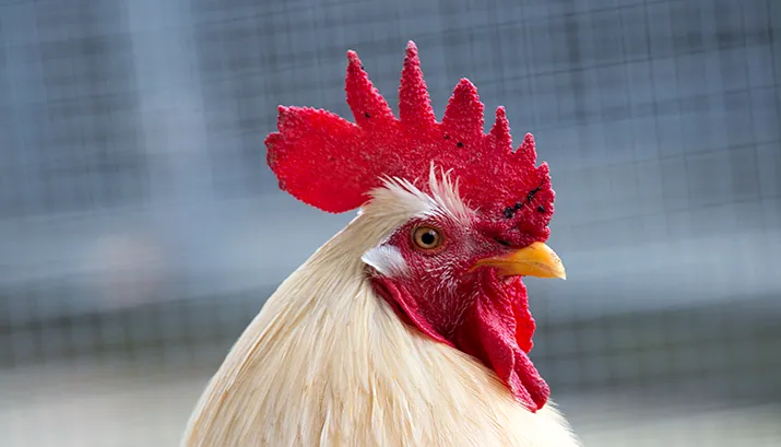 wim meijer fotografie 5i5a0382 banner