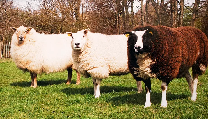 wim meijer fotografie 5i5a4003 banner