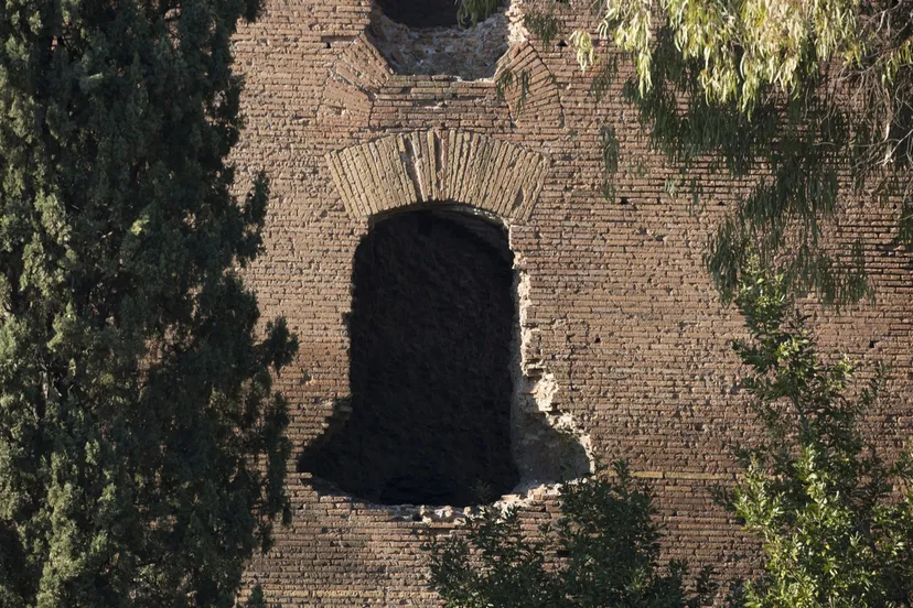 wim meijer fotografie 5i5a5128