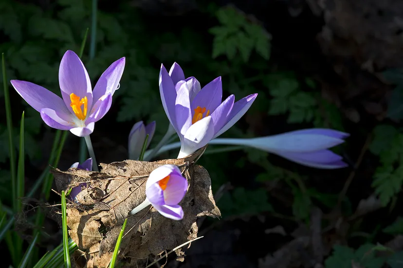 wim meijer fotografie 5i5a6206 small