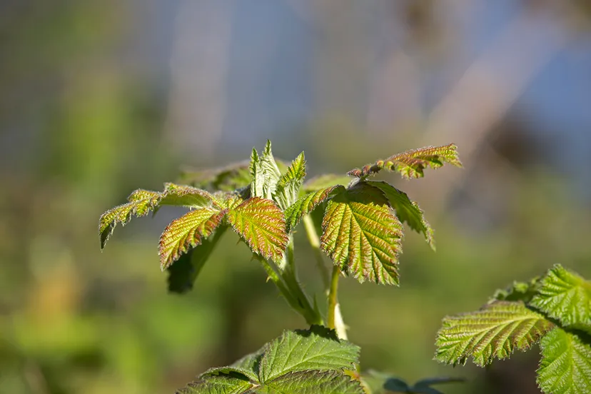 wim meijer fotografie 5i5a7051