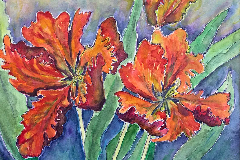 wim meijer fotografie 5i5a7861