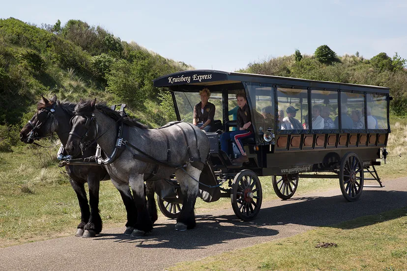 wim meijer fotografie 5i5a8208 plusbus