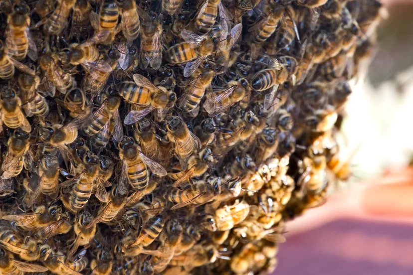 wim meijer fotografie 5i5a9902