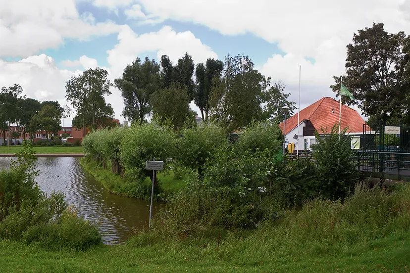 wim meijer fotografie animalfarm panorama1