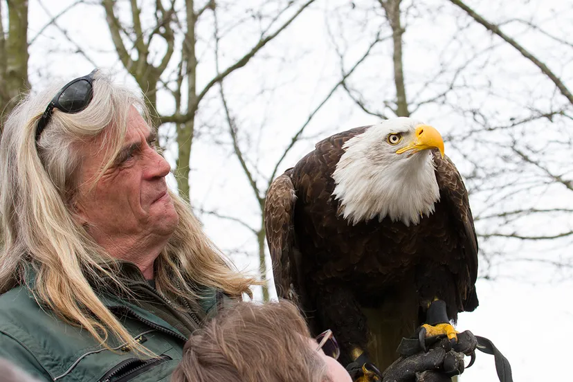 wim meijer fotografie banner roofvogelshow