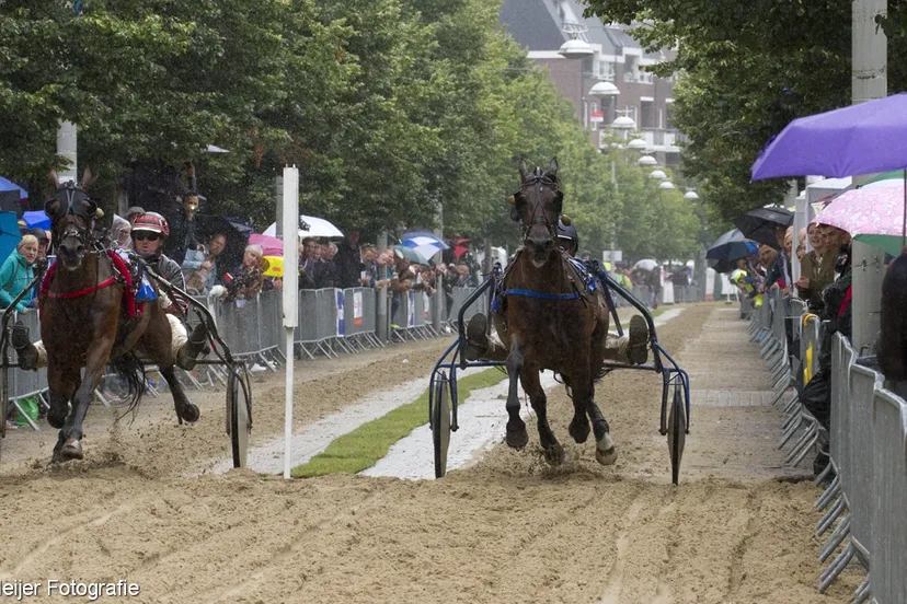 wim meijer fotografie img 0530