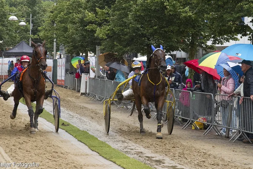 wim meijer fotografie img 0537
