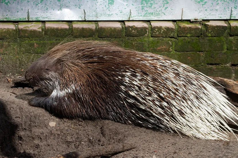 wim meijer fotografie img 0652