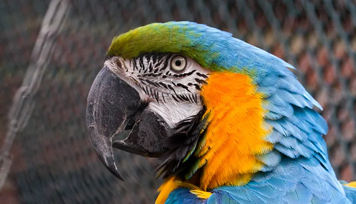 wim meijer fotografie img 0665 banner