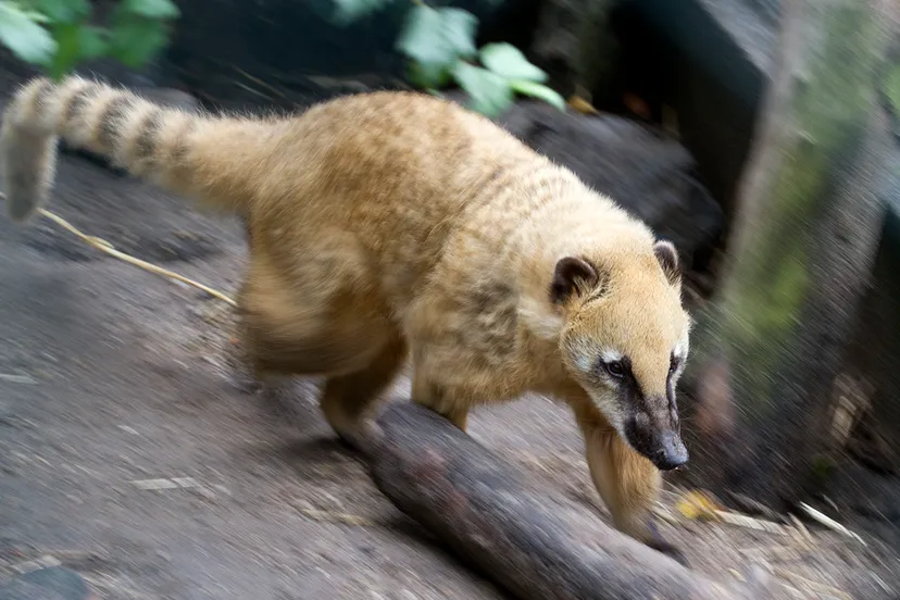 wim meijer fotografie img 0672