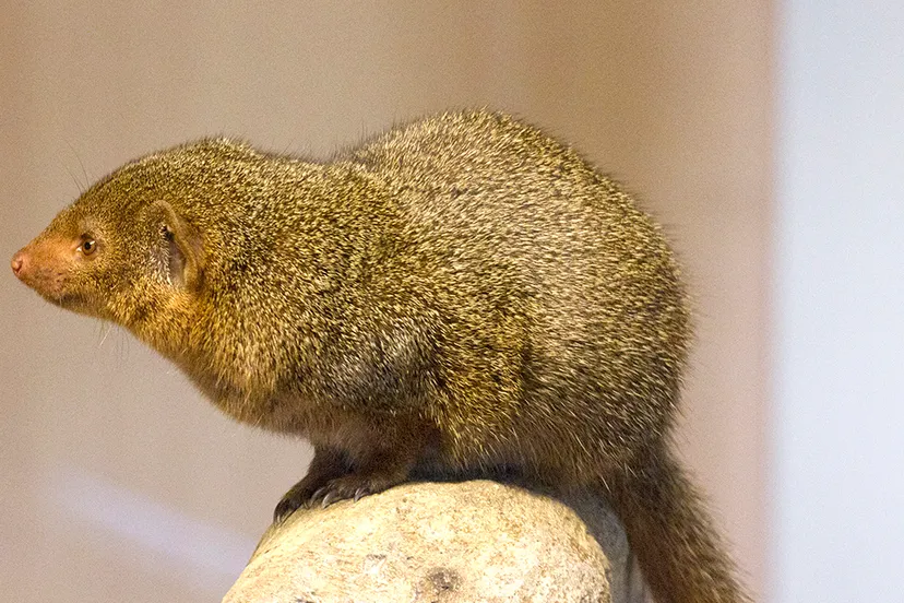 wim meijer fotografie img 0692