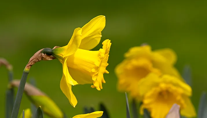 wim meijer fotografie img 0780