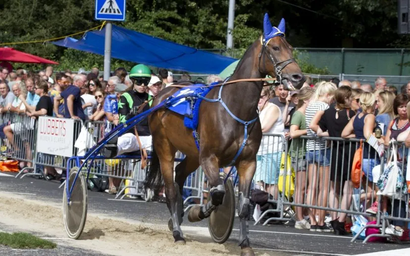 wim meijer fotografie img 1096 915x518