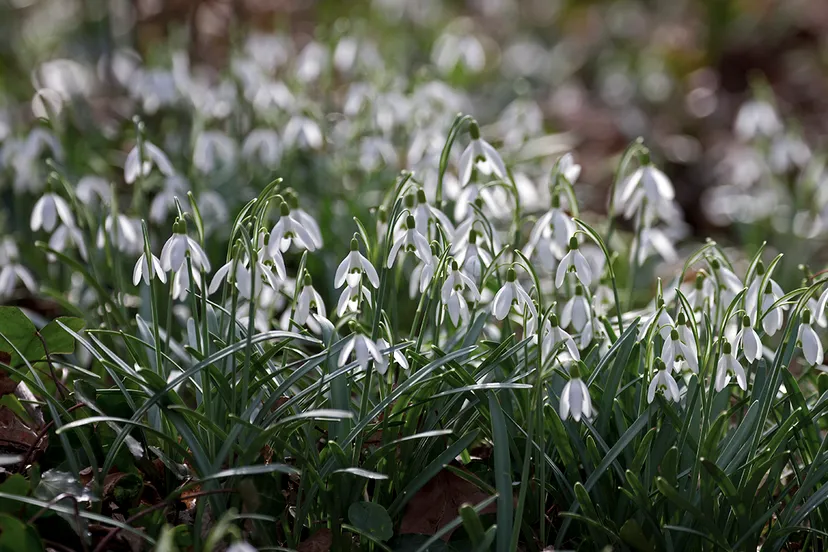 wim meijer fotografie img 2013