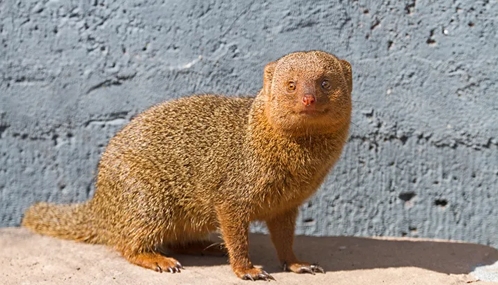 wim meijer fotografie img 3660