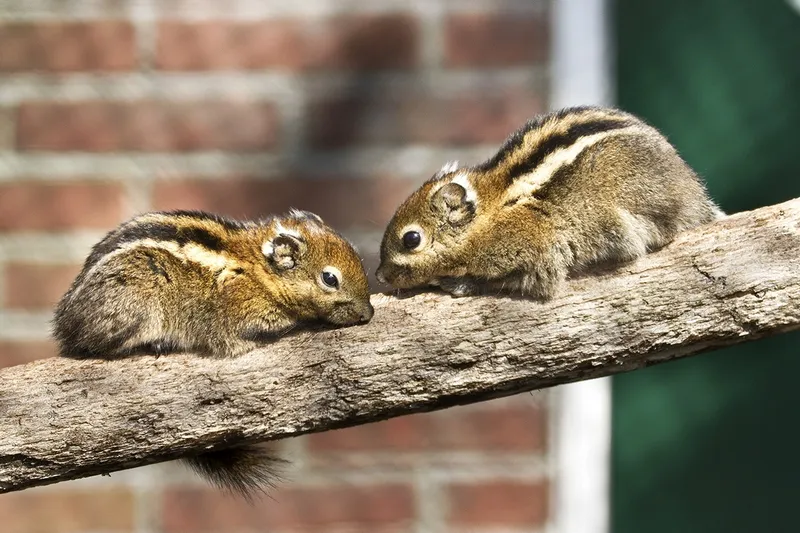 wim meijer fotografie img 3681 s