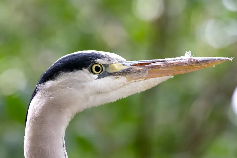 wim meijer fotografie img 3907