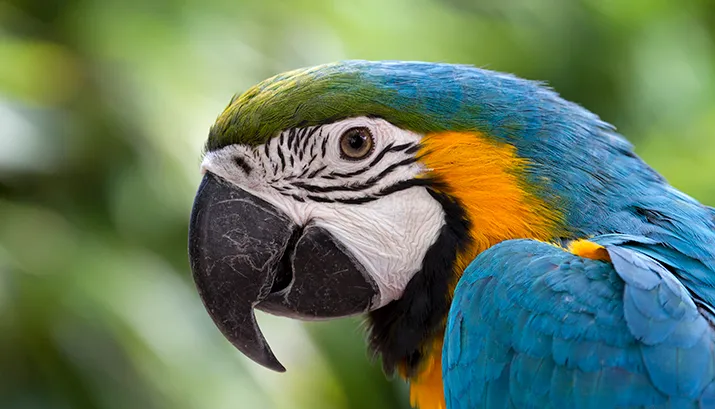 wim meijer fotografie img 4612