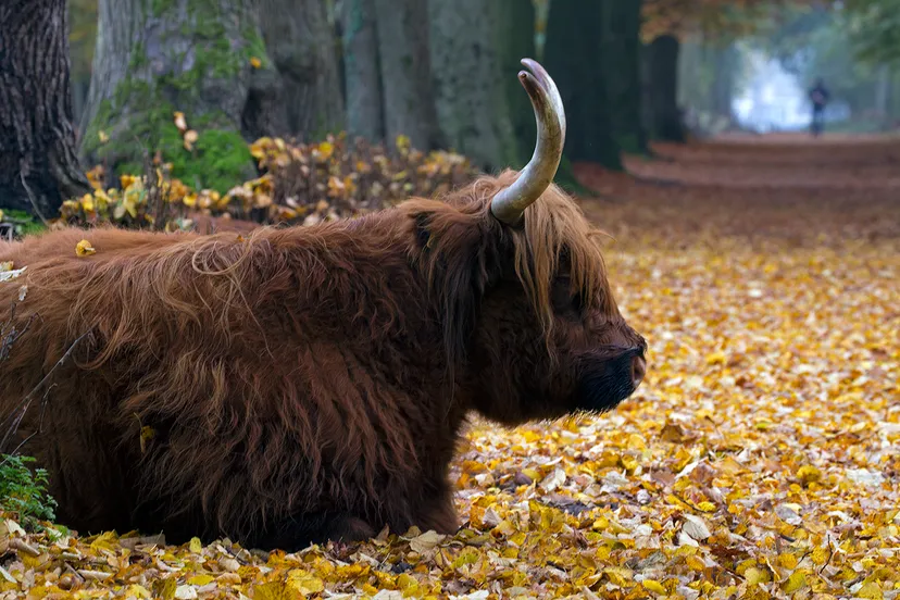 wim meijer fotografie img 5915