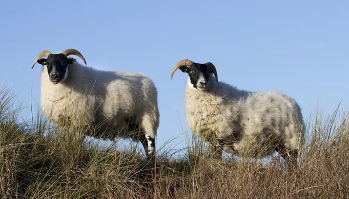 wim meijer fotografie img 7207 small banner
