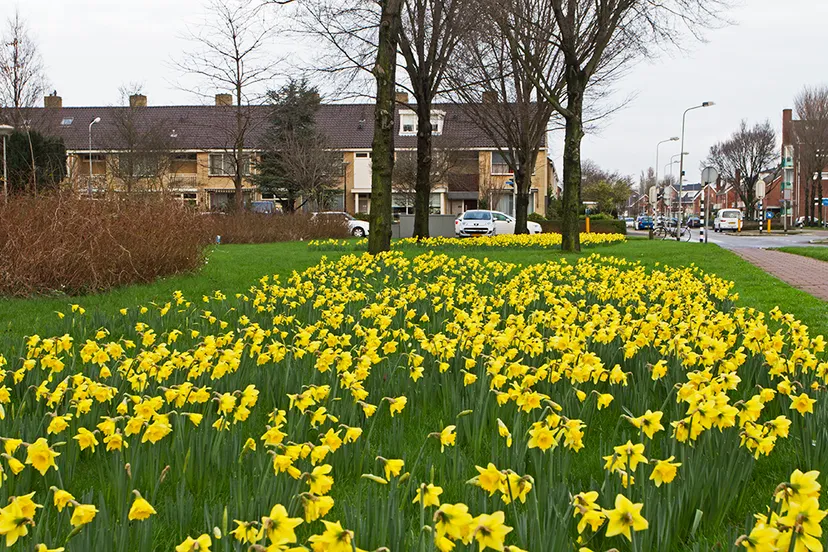 wim meijer fotografie img 7462
