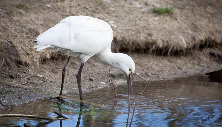 wim meijer fotografie mg 1224