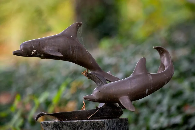 wim meijer fotografie westerveld banner