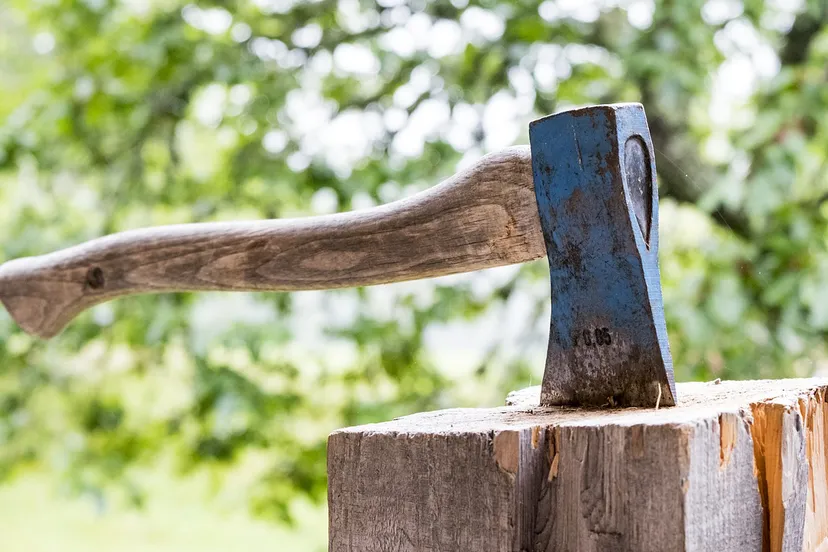 wood 3075862 1280 pixabay