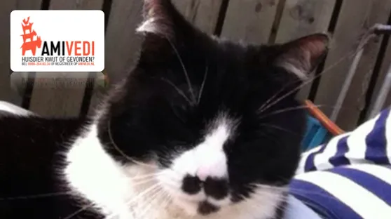 yiy544xnhzdh1hjmjzovzxllf 2014 09 0711 34 30