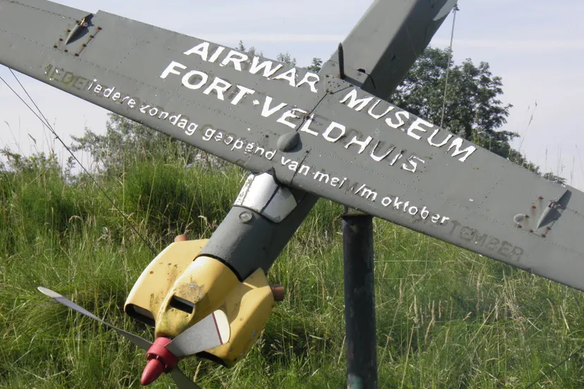 zosftoa8cb8xea9pashn9nvi6 p7123274 2