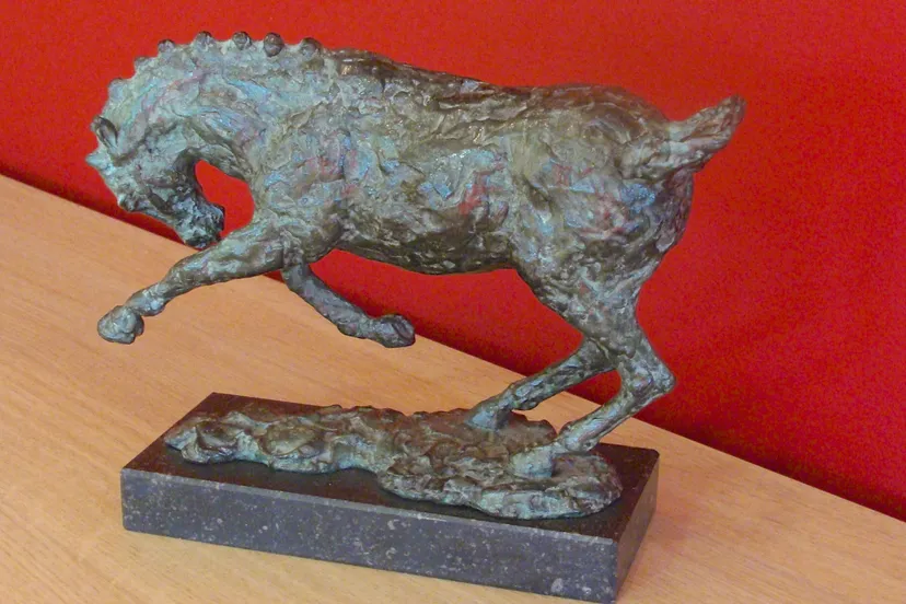 zpasxmlsgns9dn8mo3ho9e4nt wisseltrofeekortebaandraverijheemskerk2014