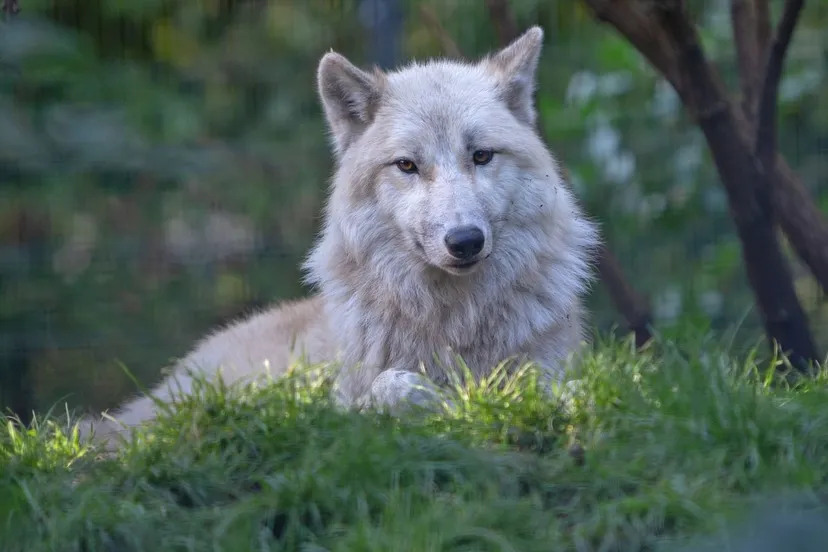 fotowandeling artis met edwin butter foto marijke van straalen