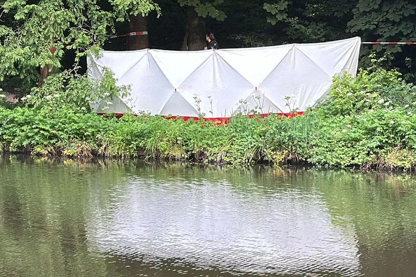 img 20240801 wa0024 1 kopie