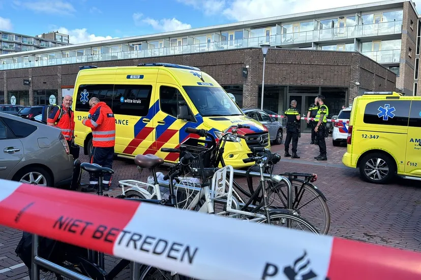 426d3a22 100d 4666 b92d 2407865fafb2