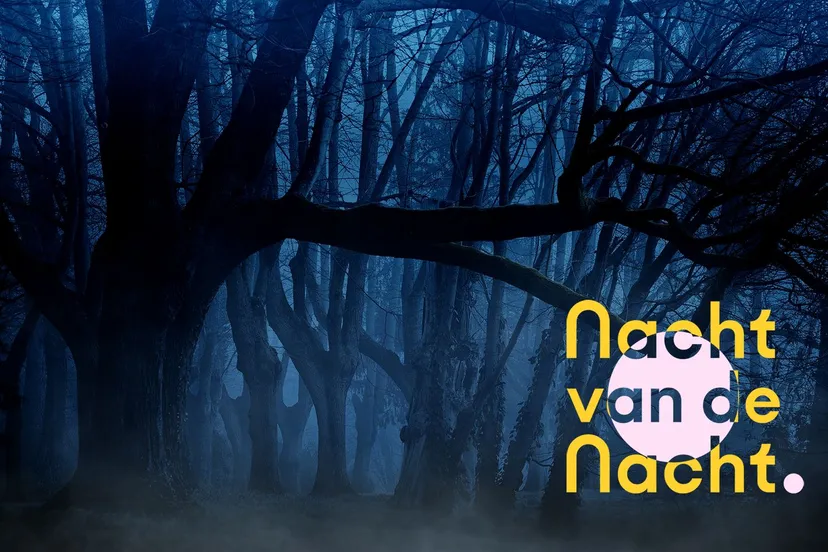 forest 3394066 1920 kopieren