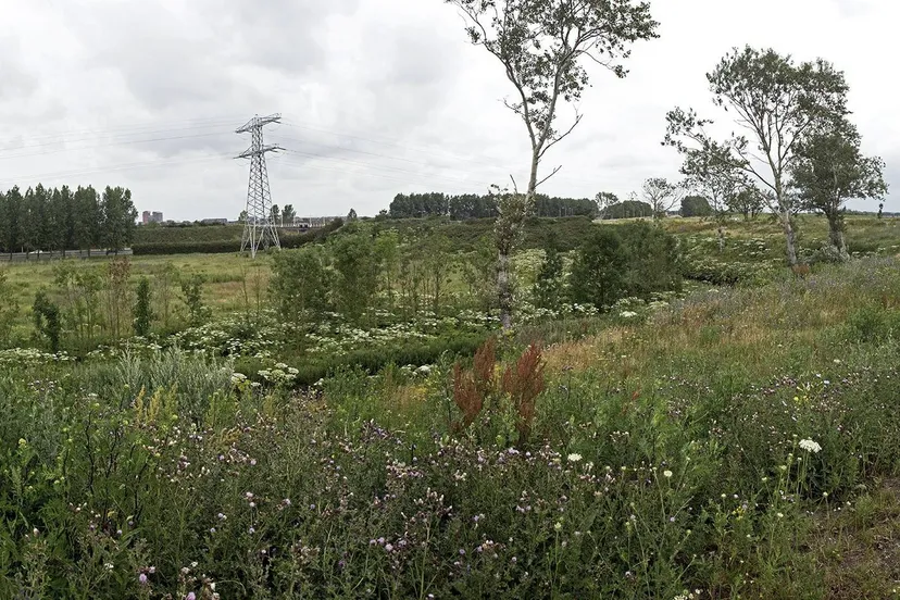 aagtenpark panorama4