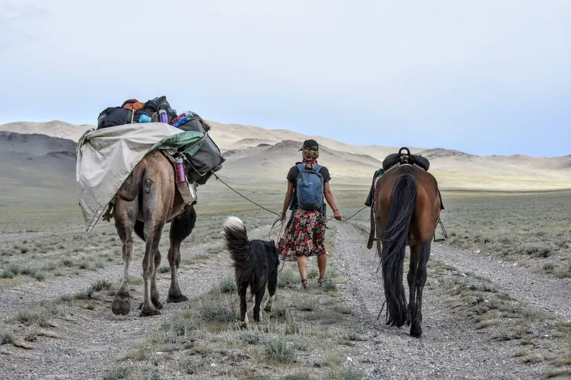 tamar hond kameel paard