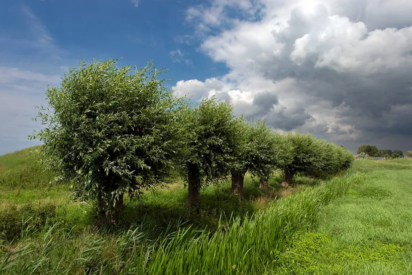 201907 kruitmagazijn busch en dam 2 ronald van wijk verkleind kopieren