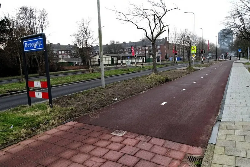 foto 10 2 2025 15 bomen zijn geplant aan de plesmanweg