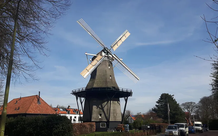 20170330 153058 915x518 1