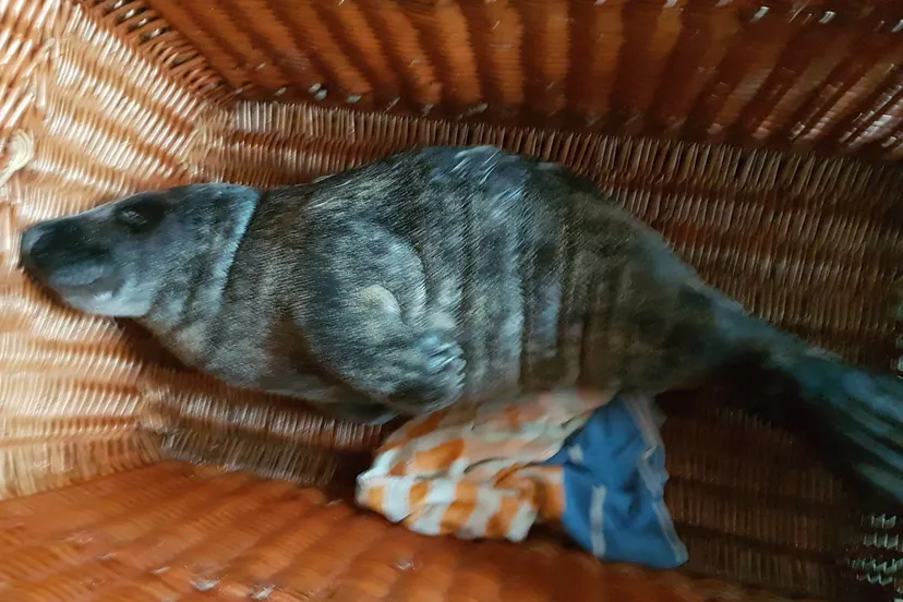 2018 01 04 photo 00001765