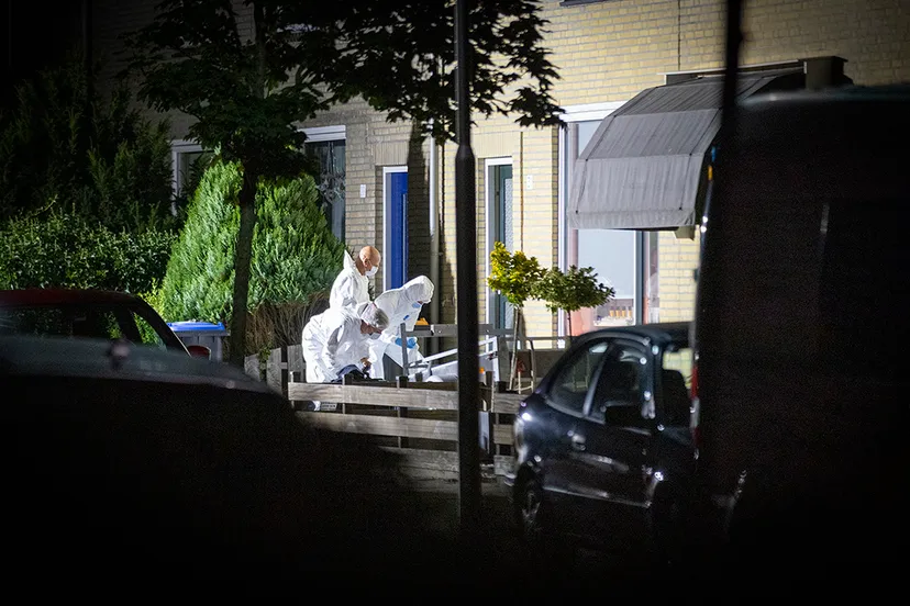 20220823 dode ijmuiden 04