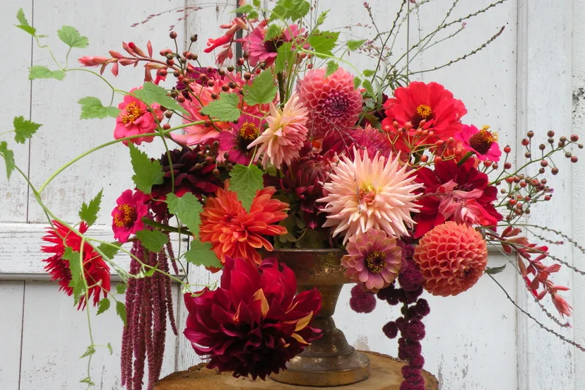 2023 10 marieke nolsen fotodscn0229