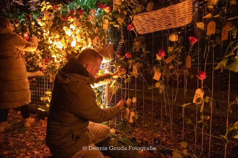 313915507 482177050557141 3531611171201283974 n