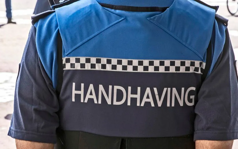 3z1a2327 boa 915x518 1 915x518 1