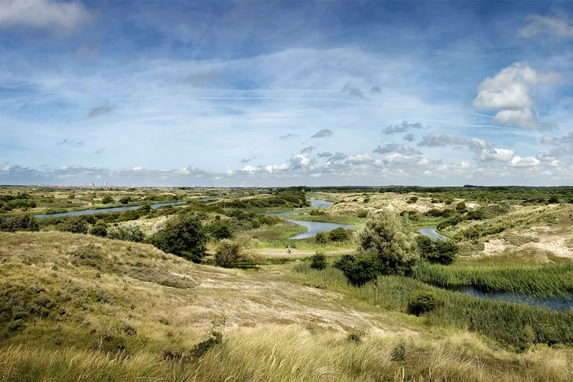 amsterdamse waterleidingduinen overview