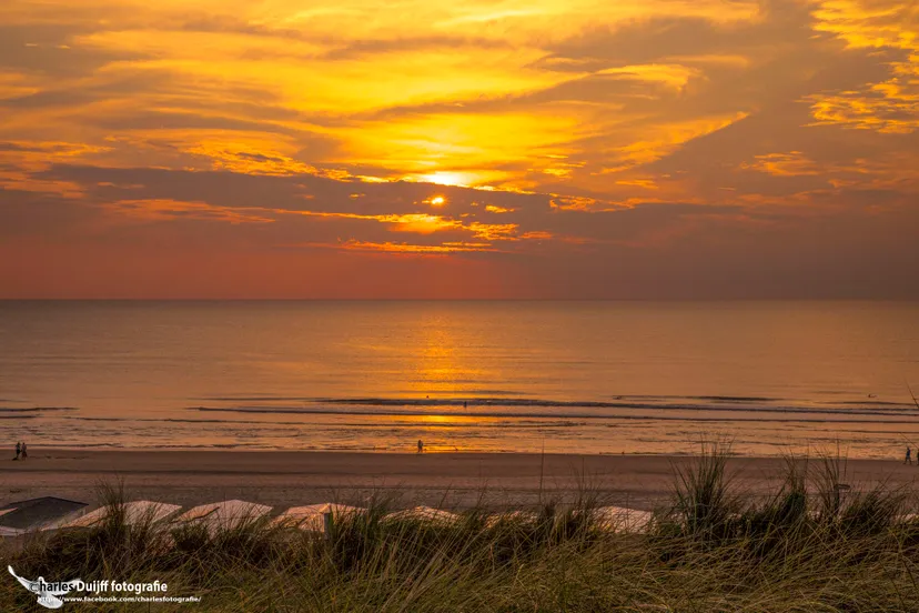 beautiful sunset