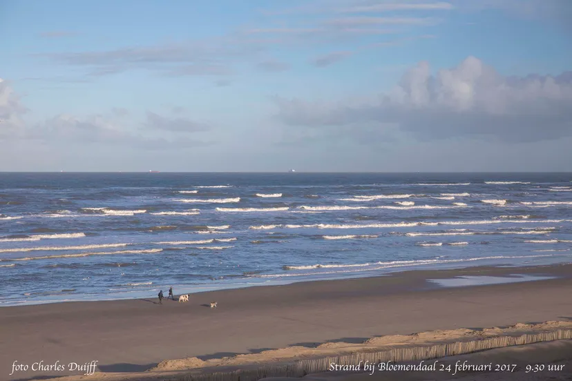 bloemendaalse strand